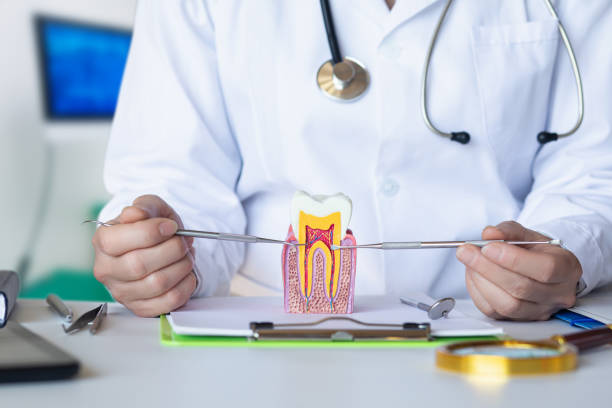 Best Emergency Broken Tooth Repair in Starke, FL